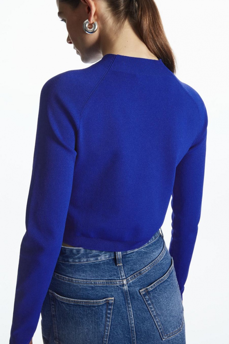 Top COS Cropped De Punto Mock-neck Mujer Azules Claro | 82107NMRF